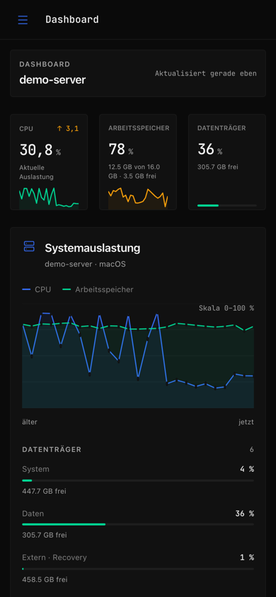 Dieselbe Dashboard-Ansicht auf dem Handy mit kompakter Statuszeile und Systemdiagrammen.